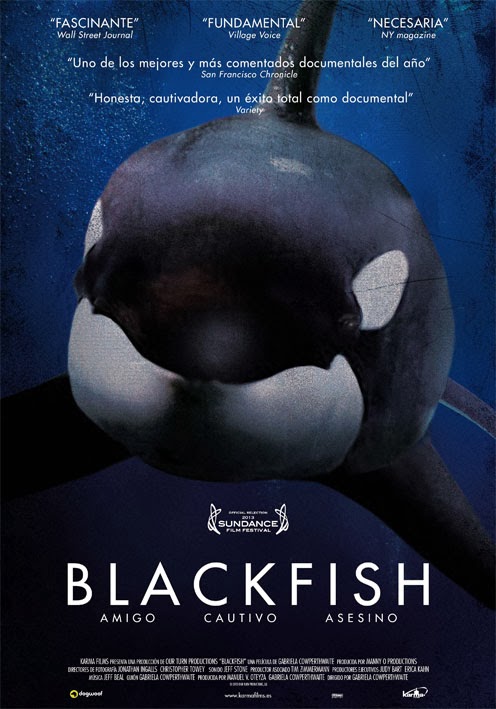 Image result for blackfish