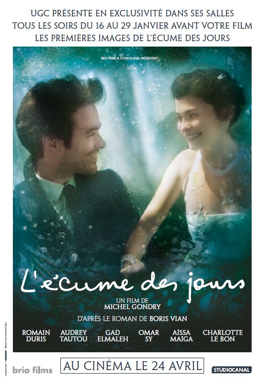 l'ecume des jours poster_aespumadosdias