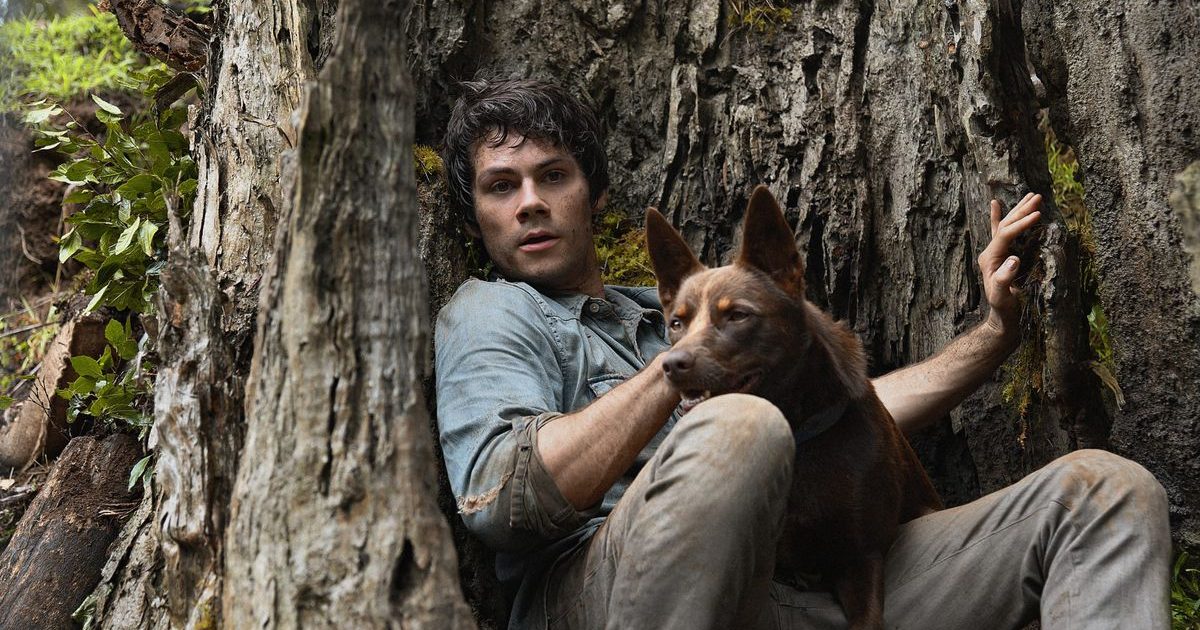 Crítica: Amor e Monstros (Netflix) - Dylan O'Brien como Joel e o cachorro