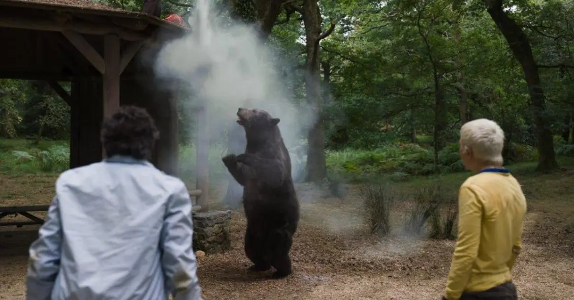 Filme sobre urso que ingere cocaína e vira assassino é baseado em